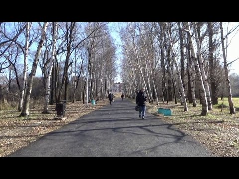 Видео: Уссурийск, обновлённая аллея в парке "Зелёный остров", ноябрь 2025 г.