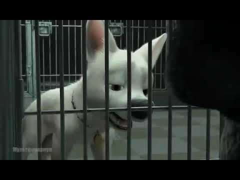 Видео: Вольт ещё не поздно