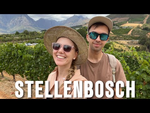 Видео: ЮАР КЕЙПТАУН: лучшие винодельни мира. Винный регион Stellenbosch