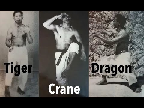 Видео: УЭЧИ-РЮ — Тигр, Дракон, Журавль
