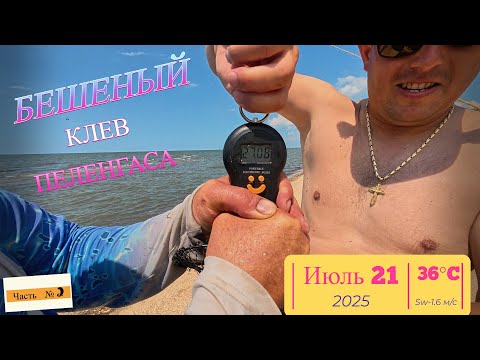 Видео: Рыбалка жор Пеленгаса Июль 2025 Серега сделал  сальто назад с рыбой и спинингом в руках