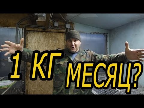 Видео: КРОЛИК 1 КГ в месяц ...