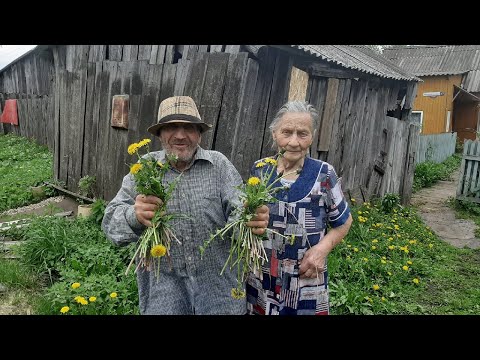 Видео: ДЕД МАТВЕЙ И БАБУШКА НАСТЯ - САМЫЕ ЛЮБИМЫЕ!!!