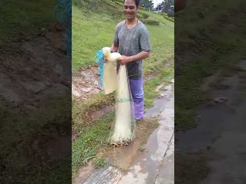 Видео: РЫБАЛКА БЕЗ ПРОБЛЕМ | ВЬЕТНАМ-2025