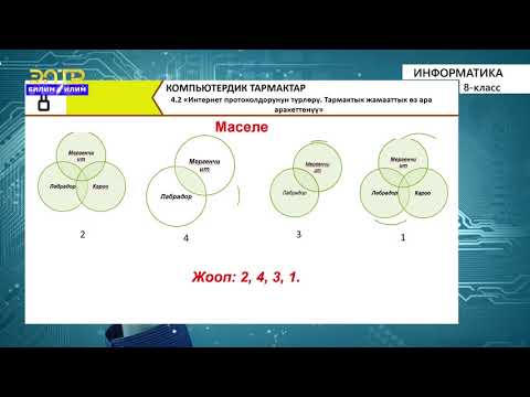Видео: 8-класс | Информатика |  Интернет протоколдорунун түрлөрү.