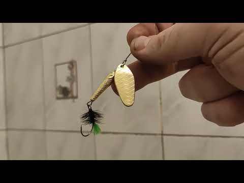 Видео: 13 сентября 2025 г.