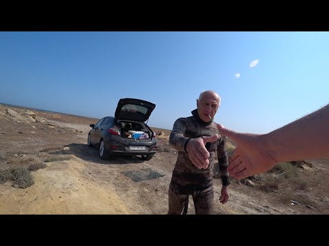 Видео: ПО.Рыба ищет где глубже, а охотник где крупнее ).