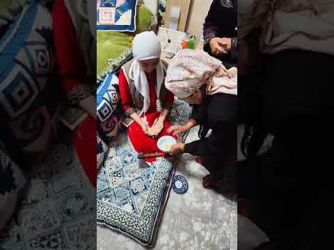 Видео: 1 ноября 2025 г.