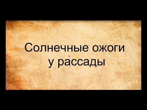 Видео: Солнечные ожоги у рассады