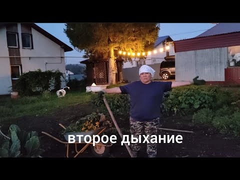 Видео: Начали копать картошку 🥔🥔🥔 арбуз 🍉 😋🤣баня 🔥🔥🔥