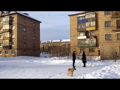 Видео: Инта, школа № 6