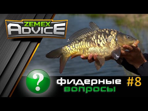 Видео: ВСЁ О ФИДЕРЕ / ОТВЕТЫ НА ВОПРОСЫ / ZEMEX Advice