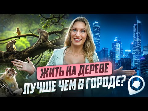 Видео: Как ВЫЖИТЬ в лесу вдали от города? Обзор глэмпинга «Зеленая Тропа» | Розыгрыш подушки