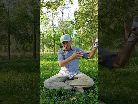 Видео: Дүйшөн Керимов: Түштүктөн чыккан Жаныбек казы.