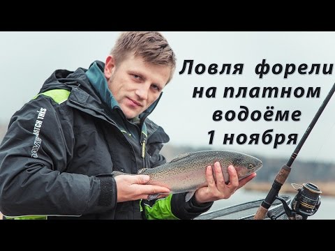 Видео: Ловля форели на фидер.