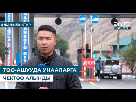 Видео: ТӨӨ-АШУУДА УНААЛАРГА ЧЕКТӨӨ АЛЫНДЫ