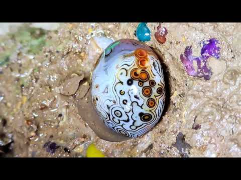 Видео: Быстрое охлаждение вулканической магмы сформировало несколько шаров из драгоценных камней.