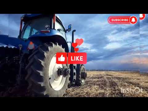 Видео: 🚜соя яка сипе 5 тон з гектара❗правда чи міф❓