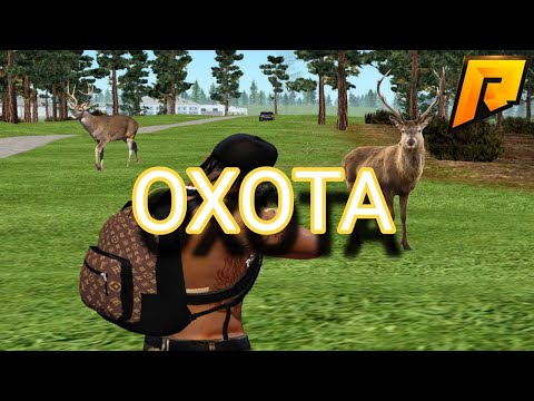 Видео: ОХОТА на РАДМИР РП ИМБА!!! (RADMIR RP)
