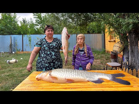 Видео: Любимое бабушкино блюдо из огромного свежего Бели амур!