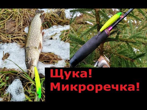Видео: Ловля щуки поздней осенью на микроречке