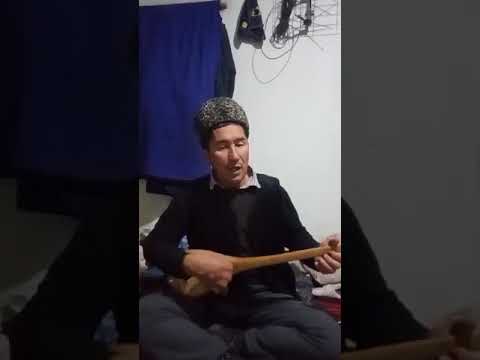 Видео: 10 декабр, 2024 йил «ОРҚА ТОВИНГ БЎЛМАСА»  Самарқандлик Шавкат шоир ижросида