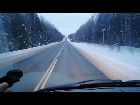 Видео: Валдай камминз. работа, шабашка, везём шишки)) Киров, область.