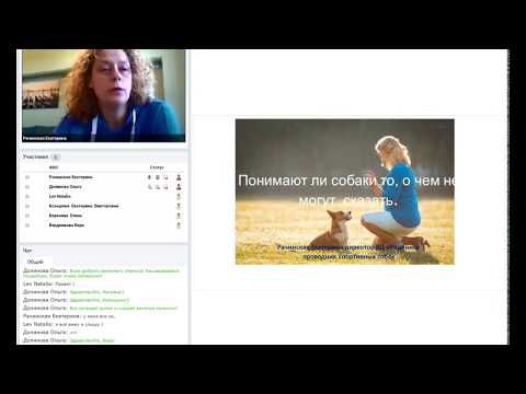 Видео: "Понимают ли собаки то, о чем не могут сказать?",  лектор- Рачинская Екатерина. 25 03 2019