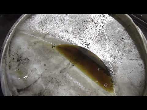 Видео: Фольксваген Пассат Без заднего хода ! Советую посмотреть .