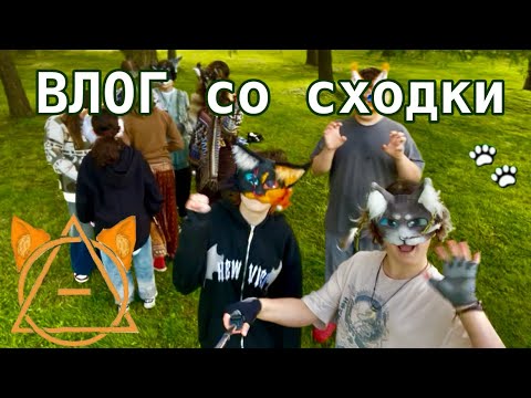Видео: Сходка квд|теффи|квадробика|квд|сходка #квадробика #therian #квд #кошка #теффи #cat