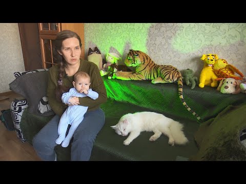 Видео: Кошачья логика: как подготовить питомца к появлению ребенка в семье