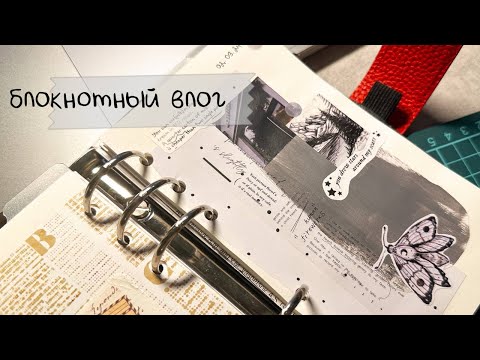 Видео: блокнотный влог 💛 оформление блокнотов и канцелярские покупки