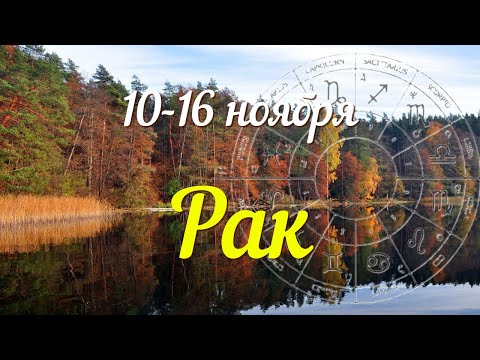 Видео: РАК ♋️Прогноз на неделю с 10 по 16 ноября .