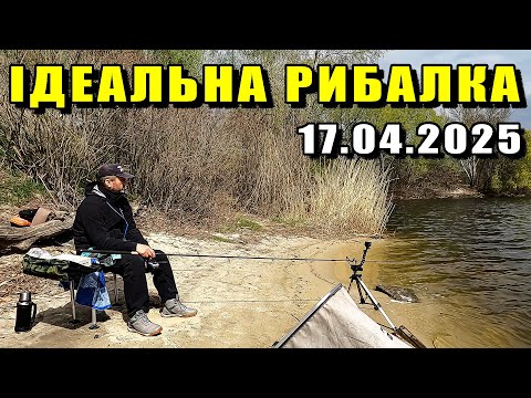 Видео: СТАРЕ МІСЦЕ з НОВОЮ РИБОЮ. Ідеальна рибалка 17.04.2025. Фідерна рибалка в Києві.