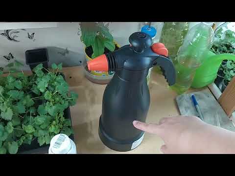 Видео: Кампанулы. Профилактические обработки от вредителей.