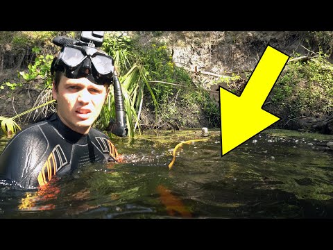 Видео: Редчайшая находка ископаемых 2021 года (все части)