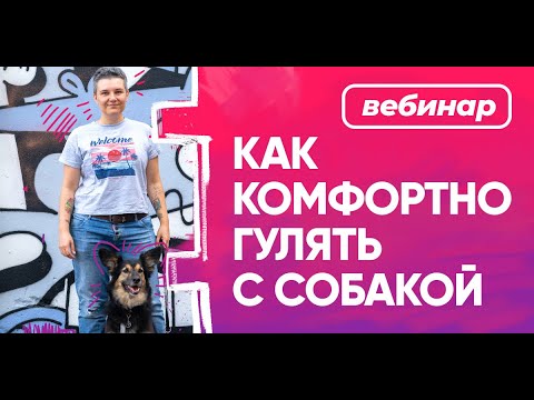 Видео: Бесплатный вебинар Насти Бобковой «Как комфортно гулять с собакой»