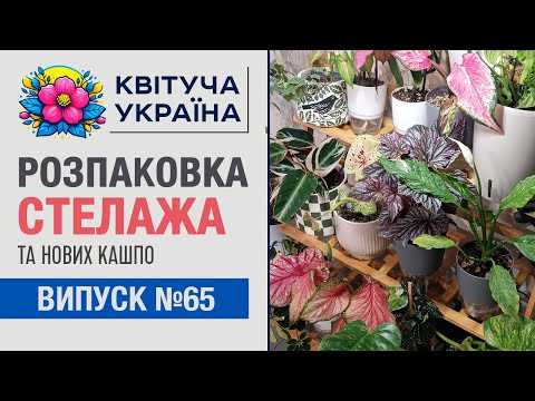 Видео: Розпаковка стелажа та кашпо для кімнатних рослин