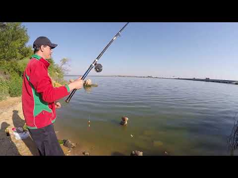 Видео: КАРПИК КЛЮЁТ при каждом забросе ПОПЛАВКА на ХАДЖИБЕЕВСКОМ лимане! nrg FISHING