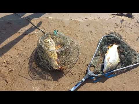 Видео: Утро на Шардаре 🤝✋