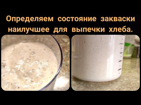 Видео: Определяем состояние закваски (опары), когда она готова для выпечки  хлеба.