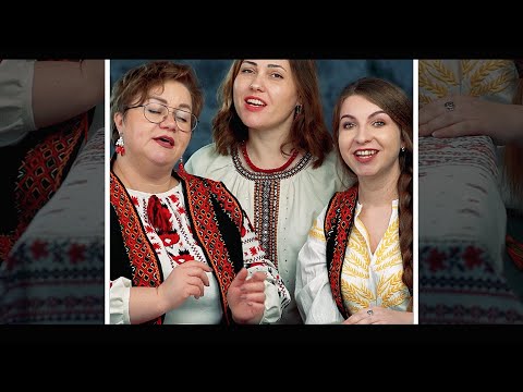 Видео: «Вітер з гаєм розмовляє» - пісня на слова Тараса Шевченка