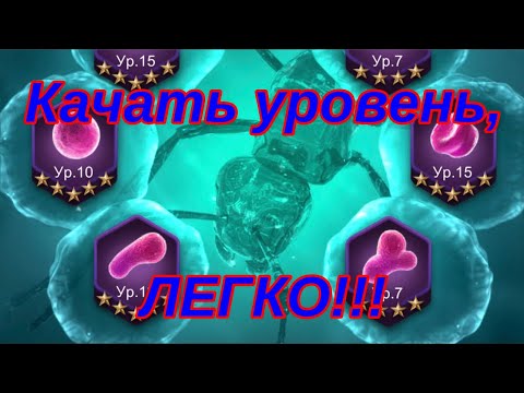 Видео: The Ants. Прокачка клеток.