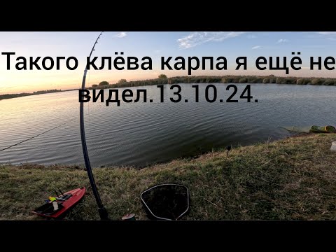 Видео: Такого сумасшедшего клёва у меня ещё не было. 13.10.24.