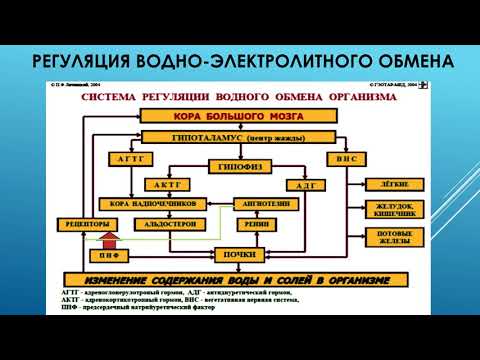 Видео: Нарушения водно-солевого обмена (лектор В.А.Назаров)