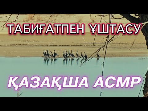Видео: Көктем вайбы / Қазақша АСМР / Табиғатпен ұштасу / Сыбырлаған дауыс / ASMR