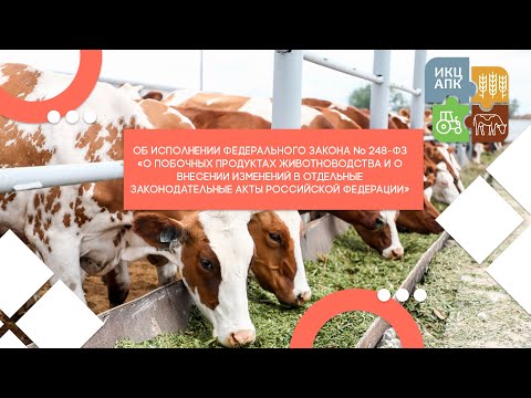 Видео: Запись семинара  от 13 декабря 2023 года