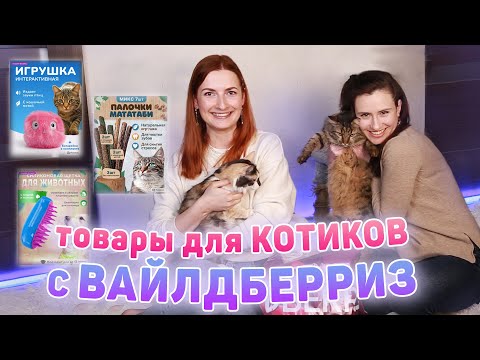 Видео: ЛУЧШИЕ ТОВАРЫ с Wildberries для КОШЕК! ОБЗОР ПОКУПОК с Wildberries