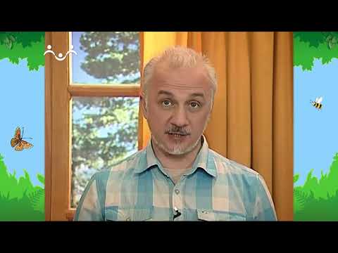 Видео: Утро в Шишкином Лесу. Выставка. Вып. 24