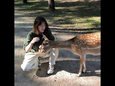 Видео: Погладь оленя! Погладь страуса! #Беларусь#барановичи